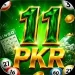 11PKR