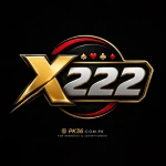 x222