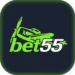 bet55