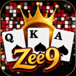 zee9-game-icon