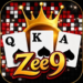 zee9-game-icon
